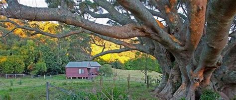 Cottages – Jamberoo Abbey