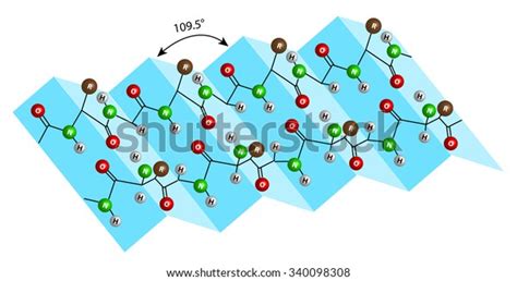 Protein Structure Beta Sheet Stock Vector (Royalty Free) 340098308