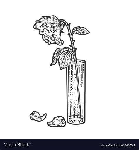 Wilted rose sketch Royalty Free Vector Image - VectorStock