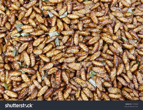 A Pile Of Deep Fried Bugs - Used As A Kind Of Snack In Asia Stock Photo 1579509 : Shutterstock