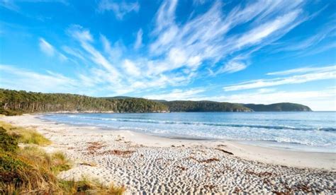 13 Best Beaches In Tasmania You Simply Can't Miss!