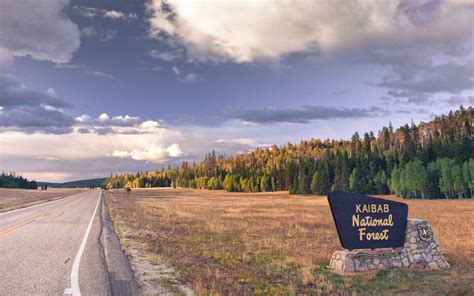 Kaibab National Forest Arizona Mac Wallpaper Download | AllMacWallpaper