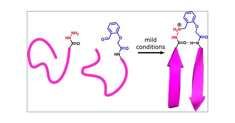 β-Turn Mimics by Chemical Ligation | Organic Letters