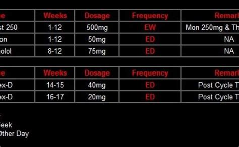 Steroid Cycles for Beginners