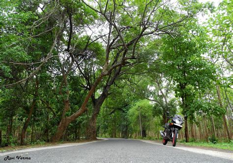 [Photo Feature]: Exploring the Nallamalla forest range, and trekking at Ahobilam