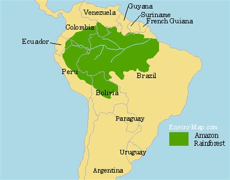 Amazon Rainforest Map - Rainforests