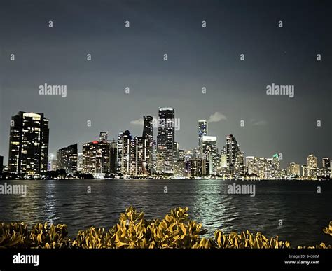 Miami skyline at night Stock Photo - Alamy