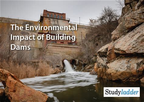 The Environmental Impact Of Building Dams (5_slides) - Studyladder Interactive Learning Games