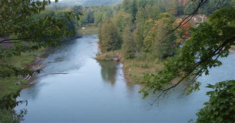 HikeMI: Manistee River Trail