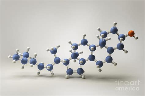 Cholesterol Molecule Photograph by Science Picture Co