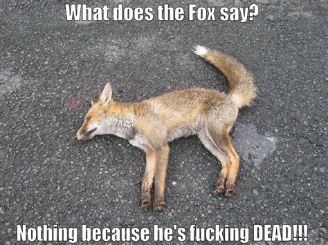 What does the Fox say? - quickmeme