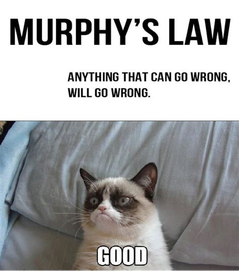 Murphy's Law Quotes