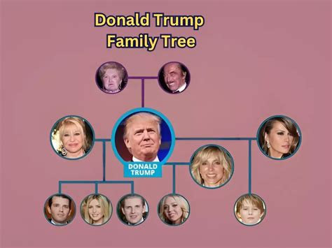 Donald Trump family tree: Meet the five children, and ten grandchildren ...