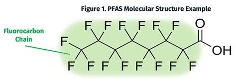 Pfas Structure