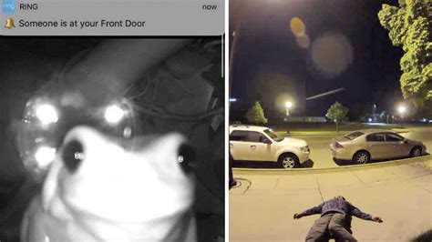 15 Funny Intruders Caught By Ring Doorbells | Know Your Meme