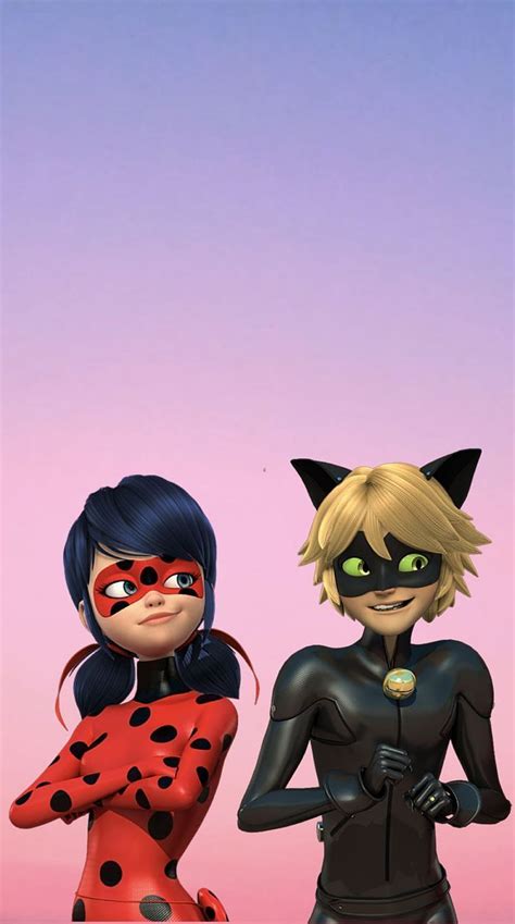 Ladybug. Cat Noir. Fondo de pantalla., miraculous ladybug HD phone ...