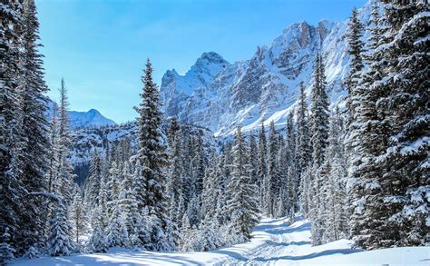 A Guide to Yoho National Park in Winter | Hike Bike Travel