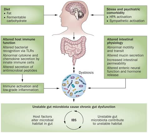 عنوان % عنوان | gutmicrobiotaforhealth