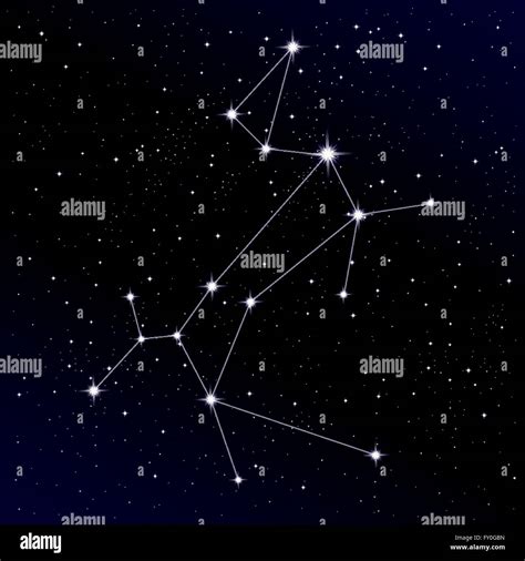 Canis Major constellation Stock Vector Image & Art - Alamy