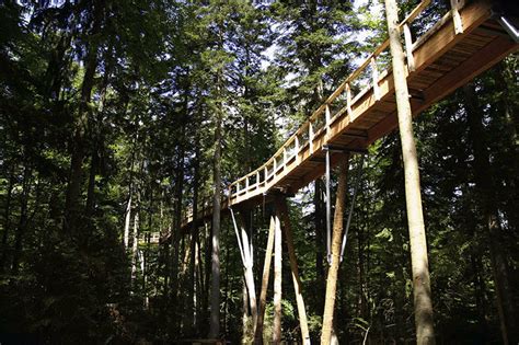 44 metre high tree top walkway in bavarian forest national park