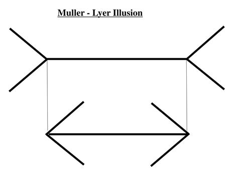 PPT - Muller - Lyer Illusion PowerPoint Presentation, free download ...