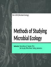 5 METHODS OF STUDYING MICROBIAL ECOLOGY.ppt - Bio 413M Microbial Ecology Methods of Studying ...