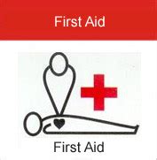 Russian Red Cross (Irkursk regional branch) | First Aid. Main ...