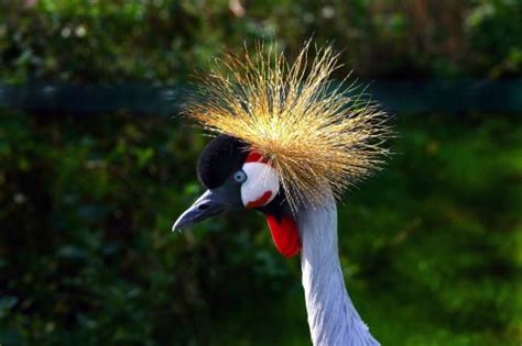 Pictures of Burscough, Lancashire, England | England Photography & History