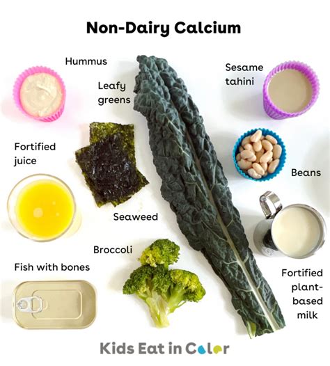 Calcium-Rich Foods for Toddlers & Kids - Kids Eat in Color