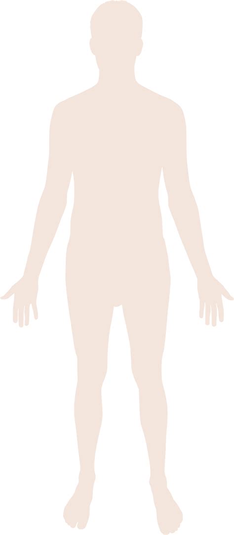 Human Body Outline Png