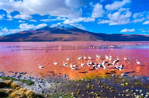 #RinconesTGV: la Laguna Colorada de Bolivia | Tu Gran Viaje