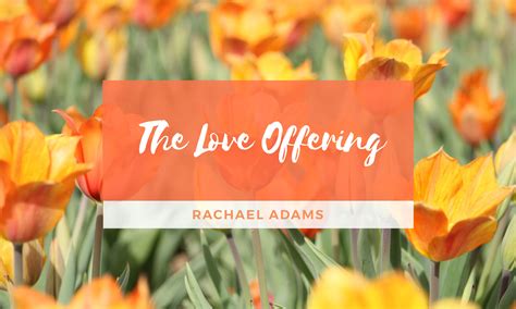 Love Offering - Rachael K. Adams