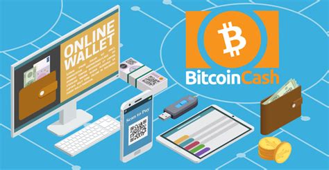 14 Best Bitcoin Cash Wallet for 2024 - Paybis Analysis - Paybis Blog