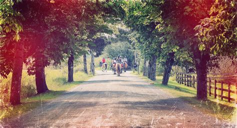 Timberline Ranch - Vancouver's Camp and Retreat Centre