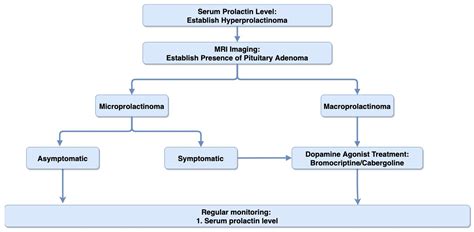 Biomedicines | Free Full-Text | Pituitary Adenomas: From Diagnosis to ...