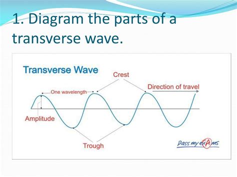 Label A Transverse Wave Labelled Diagram | Porn Sex Picture