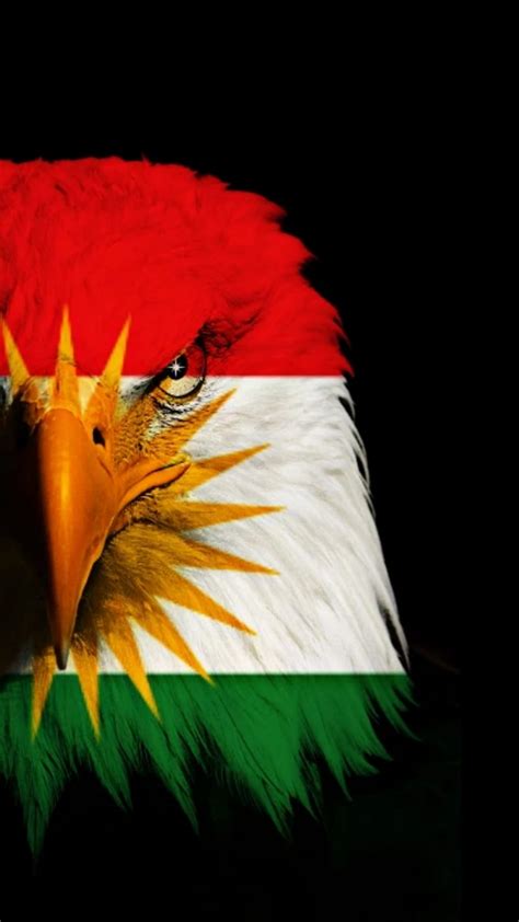 Discover 127+ kurdistan flag wallpaper best - noithatsi.vn