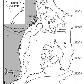 Balistes vetula. Size class distribution of specimens captured in the... | Download Scientific ...