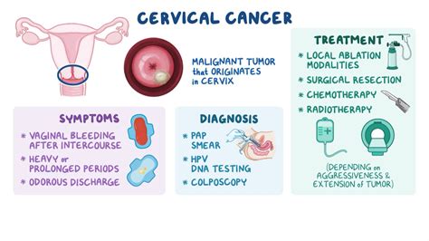 Explained: What Is Cervical Cancer? Early Signs, Causes,, 53% OFF