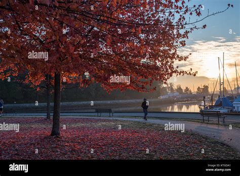 Fall in Vancouver Stanley Park Stock Photo - Alamy