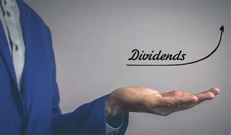 7 Best Vanguard Funds for Dividends | Investoralist