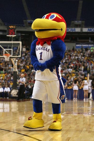 Crazy College Mascots | Outrageous College Mascots | Kansas jayhawks, College football, Alabama ...