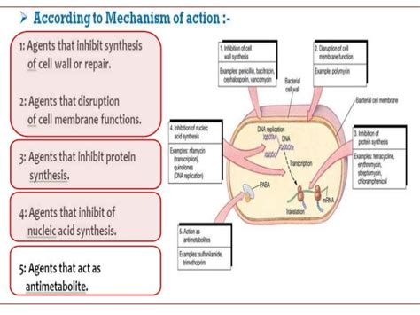 Pharmatube antibiotics-7-sulfa drugs