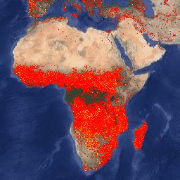 FIRMS: Fire Information for Resource Management System | Earth Engine ...