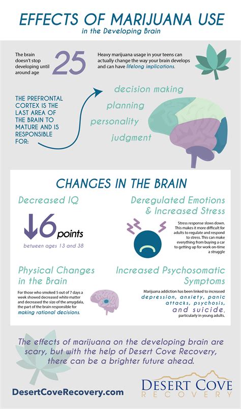 Effects of Marijuana Use in the Developing Brain - Desert Cove Recovery