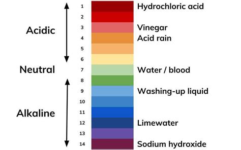 Sodium Hydroxide On Ph Scale | XX Photoz Site