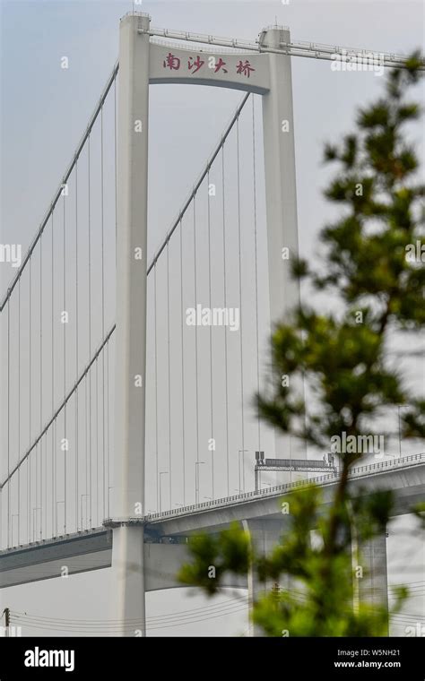 The Nansha Bridge, previously known as Second Humen Bridge, opens to public at the Pearl River ...