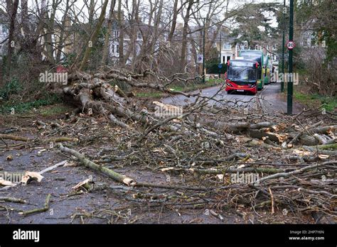 Storm eunice damage uk hi-res stock photography and images - Alamy