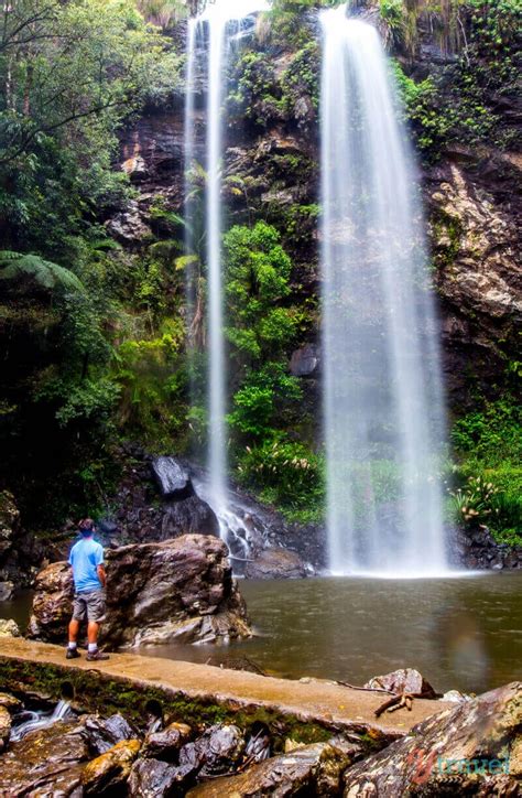 3 Gold Coast Hinterland Accommodation Options In The Rainforest