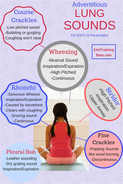 A Guide to Auscultating Lung Sounds - EMT Training Base | Nursing school survival, Nursing ...